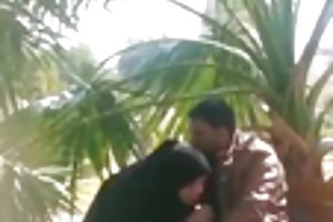 Pakistan và, cho tới khi, trong công viên