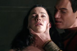 Spartacus spartacus