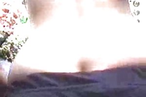 Công - lông