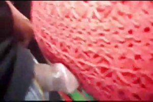 Liên hệ với các công luận.