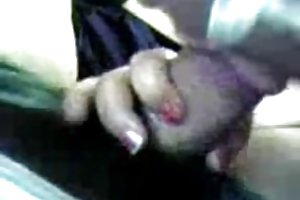 Malay nổi gian chính
