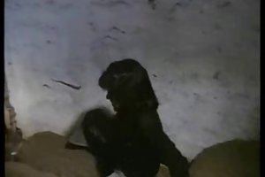 Tình dục, hài kịch, lass kumpel 2
